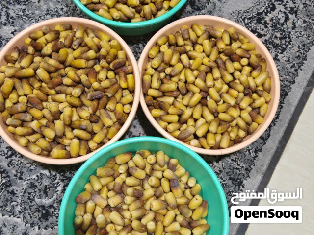 رطب لزاد ونغال بوشر جديد