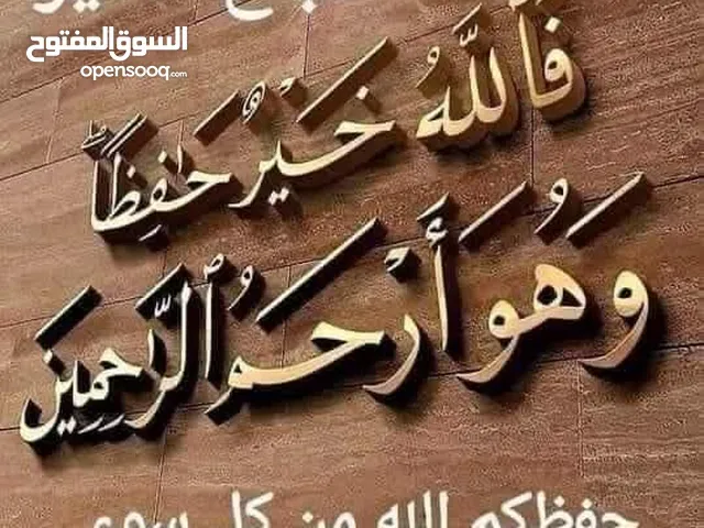 موجود زغاليل وديك هزاز اسود وفرخه بالوني