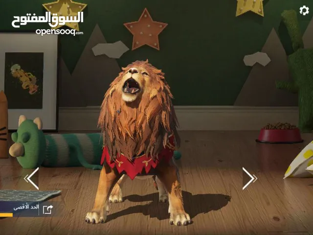 Pubg Accounts and Characters for Sale in Al Anbar