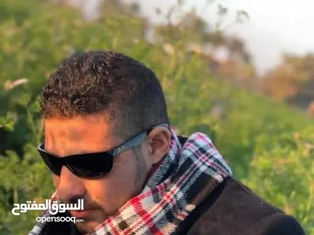 محمود ابو الفتح عبد الحميد