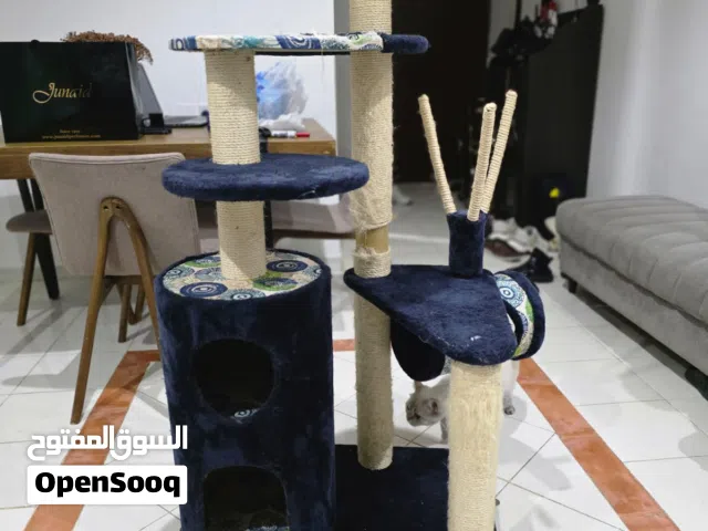 بيت قطط كبير