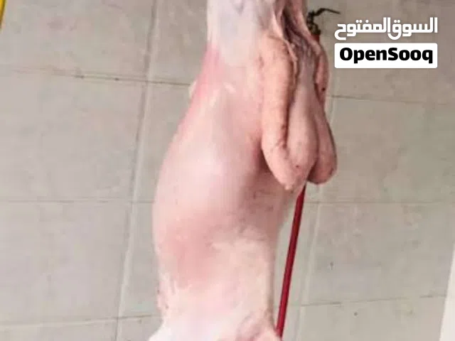 لحام منطقه البلقاء شارع الستين