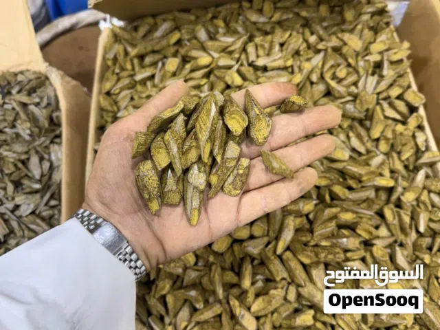 عود مروكي سوبر