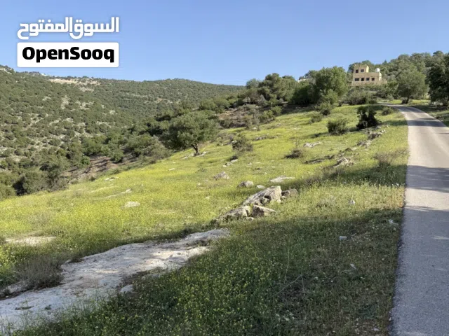 Commercial Land for Sale in Irbid Sahara Circle