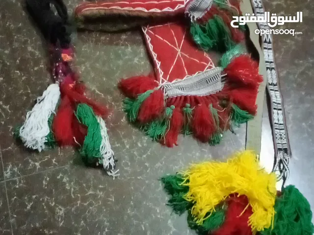 زانة بوش عرضه