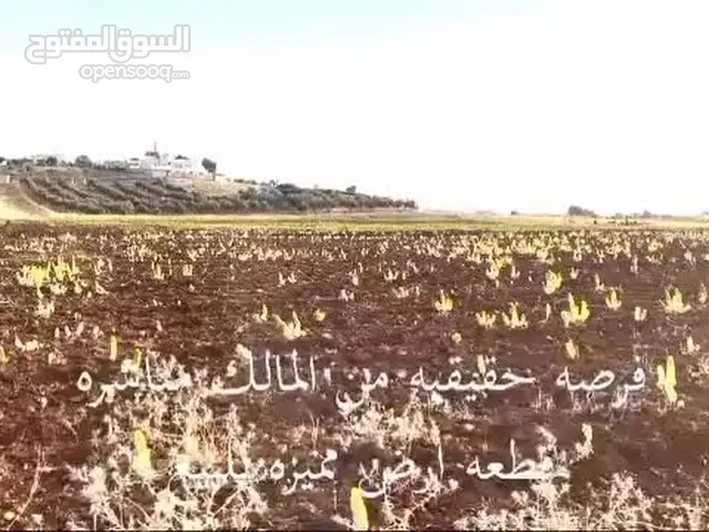 Farm Land for Sale in Mafraq Other