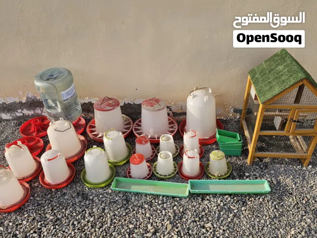 أغراض طيور للبيع