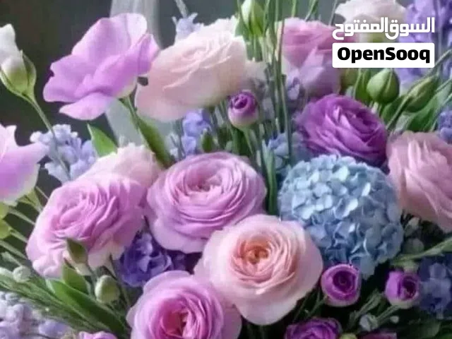 قطع اراضي للبيع
