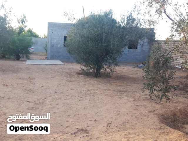 قطعة ارض بعد متلت الكهرباء جنب مسجد الرحمة مساحتها 1041متر اوراقها شهادة عقارية وحجة