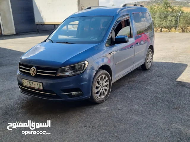 كادي ترخيص 2017 شصي قصير