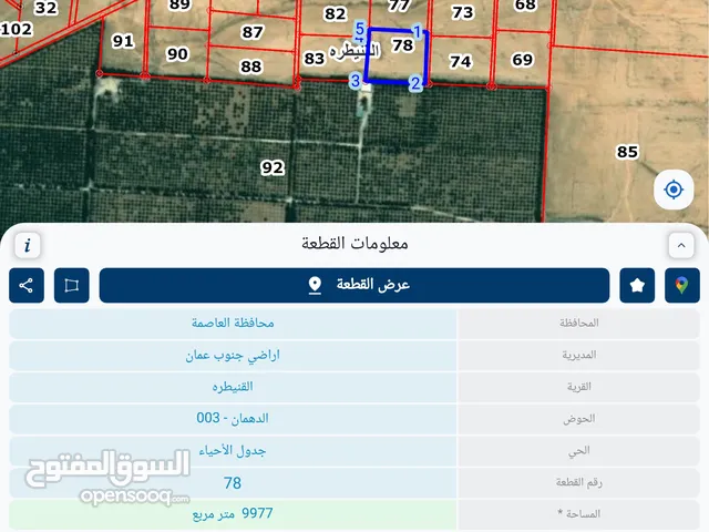 Farm Land for Sale in Amman Al-Quneitirah