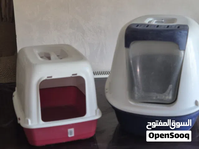 مستلزمات قطط فاخرة للبيع