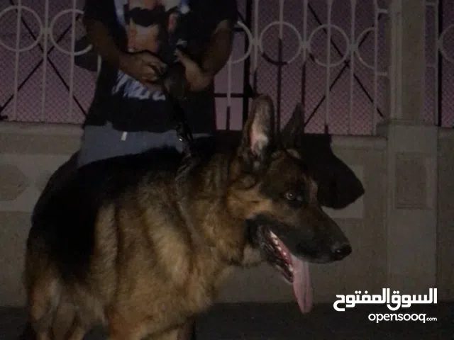 قبل للتفاوض