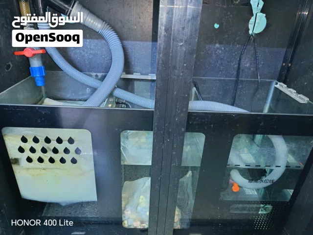 حوض سمك سامب
