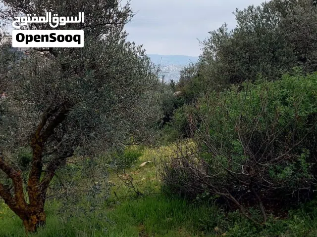ارض في شارع الثلاثين