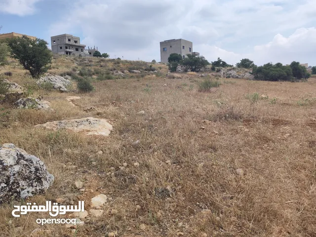 Farm Land for Sale in Zarqa Al-Kamsha