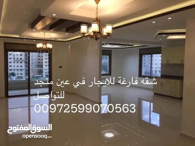 180 m2 3 Bedrooms Apartments for Rent in Ramallah and Al-Bireh Ein Munjid