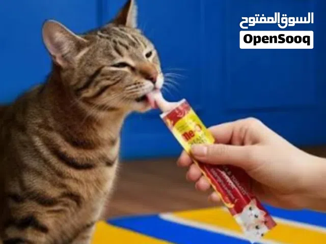 مكافات للقطط