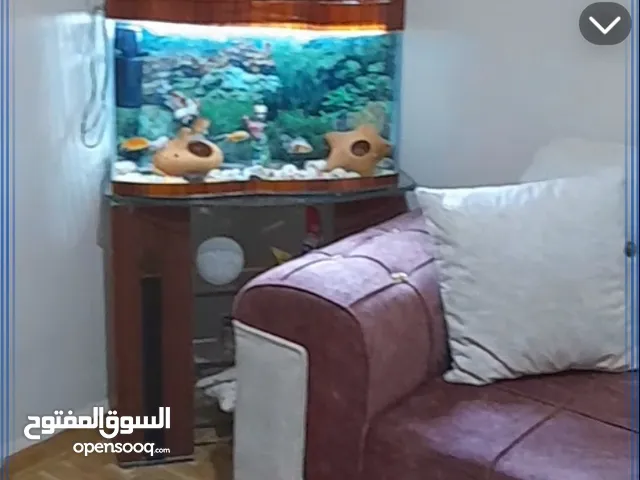 حوض اسماك مع جميع الزينه