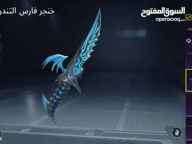 Pubg Accounts and Characters for Sale in Tripoli