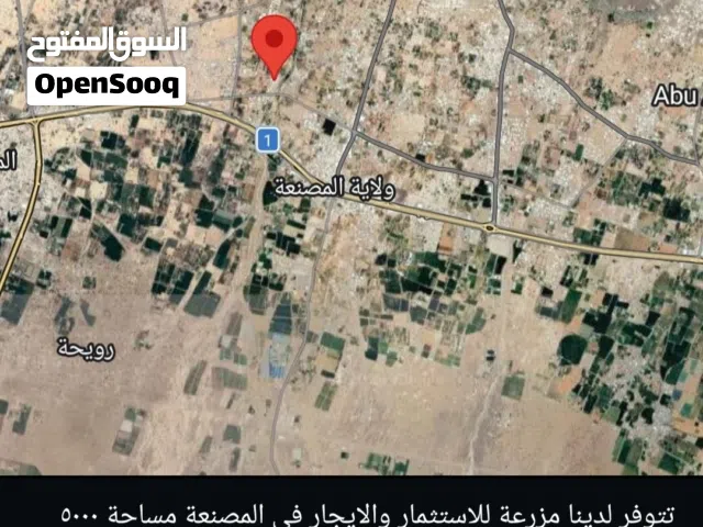 Farm Land for Rent in Al Batinah Al Masnaah