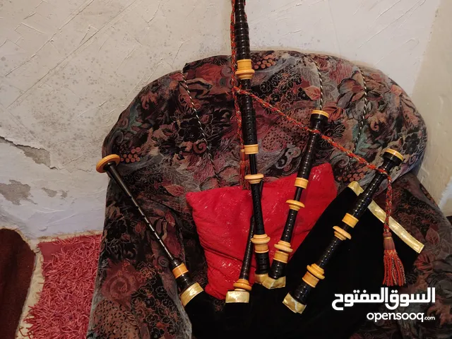 قربه اجلينزي هاردي ميزه في حال الوكاله