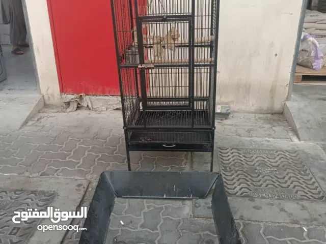 Large Black Bird Cage (Excellent condition)