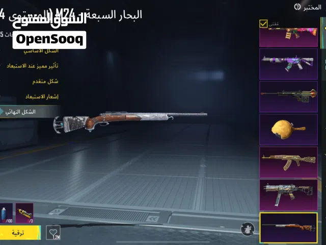 Pubg Accounts and Characters for Sale in Amman