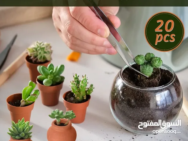 88 قطعه فخار الزراعة مع التوصيل 15