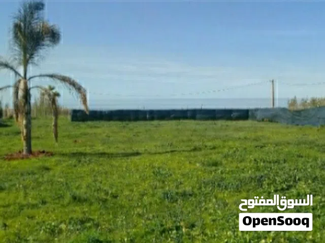 A vendre, terrain agricole, à 2500 mètres à Skhirat,