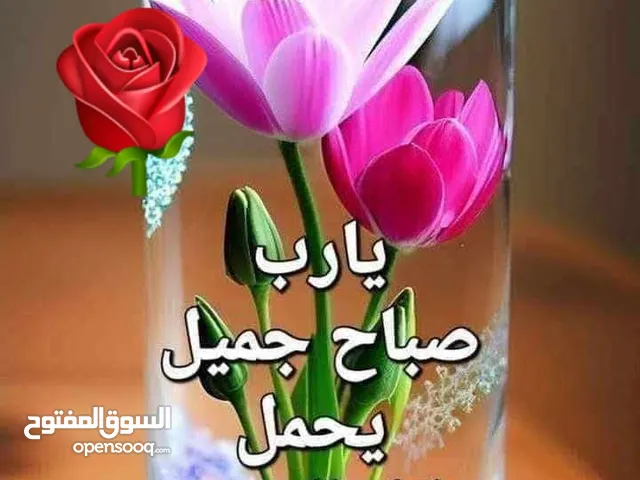 بيع شاليه بزهره سيدي عبدالرحمن