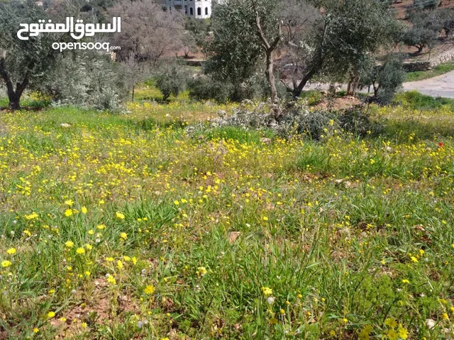 Mixed Use Land for Sale in Amman Abu Nsair