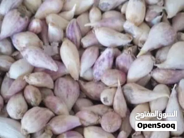 ثوم ذكر درجه اولى