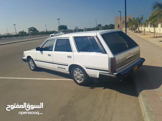 اللبيع سدرك