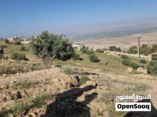 Farm Land for Sale in Amman Naour