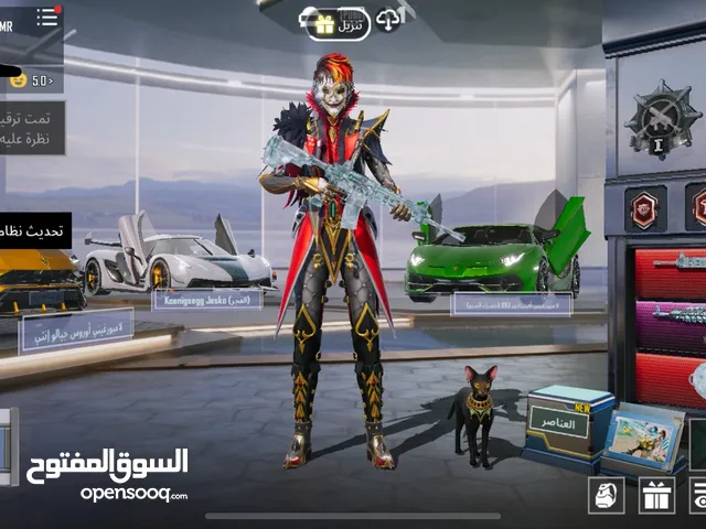 Pubg Accounts and Characters for Sale in Irbid