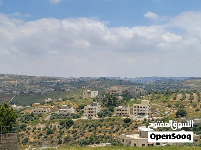أرض مطلة في أبو السوس قرب جامعة ولي العهد
