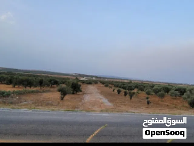 Residential Land for Sale in Hammamet Other