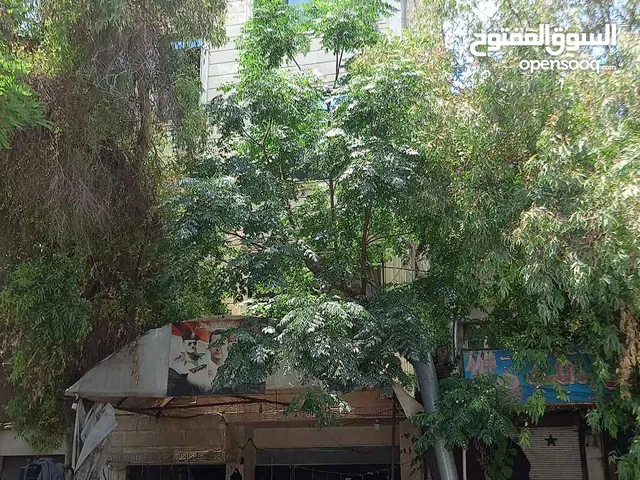 بنايه لاصحاب المشاريع والاستثمار في سوريا