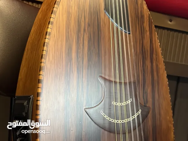 بروفشنال عود كهربائي