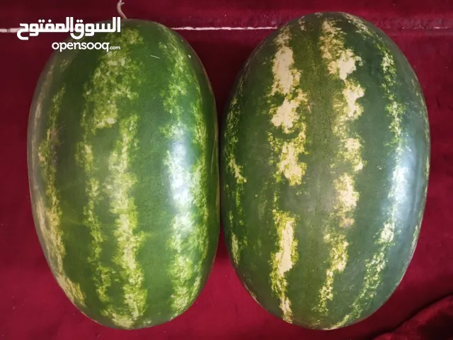 fresh Watermelon available at good price