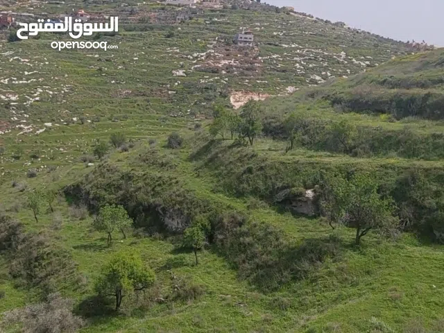 Mixed Use Land for Sale in Tulkarm Beit Lid