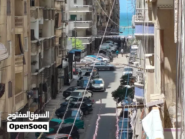 لؤلؤة سيدى بشر شارع 18ترى بحر