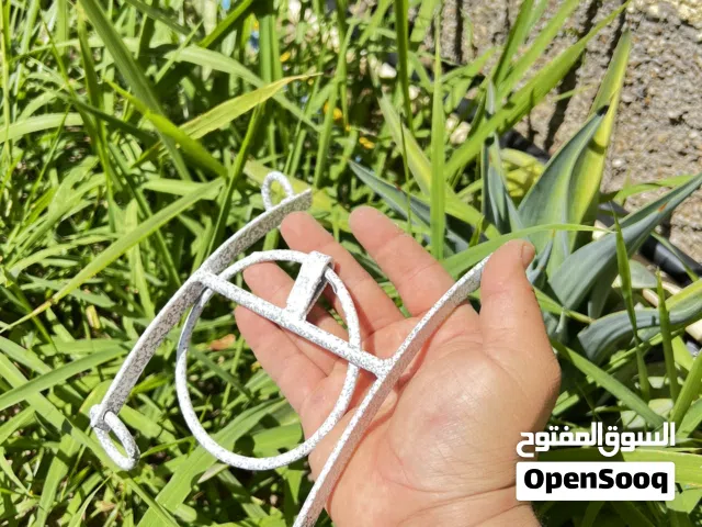 زانه عربيه - لجام - صريمه