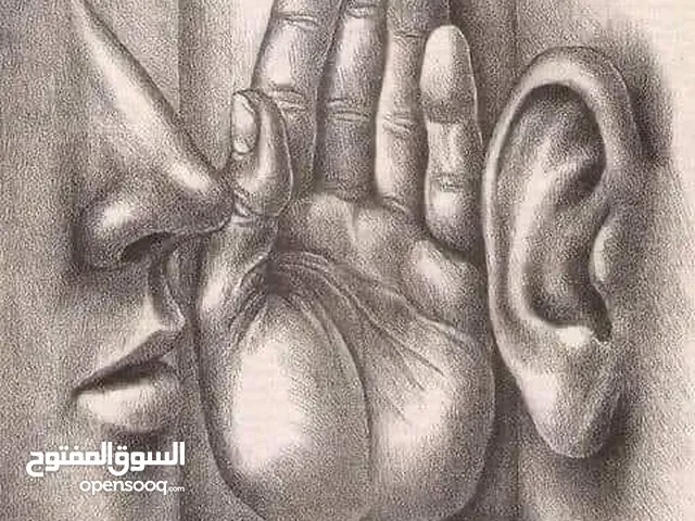 محمد خير