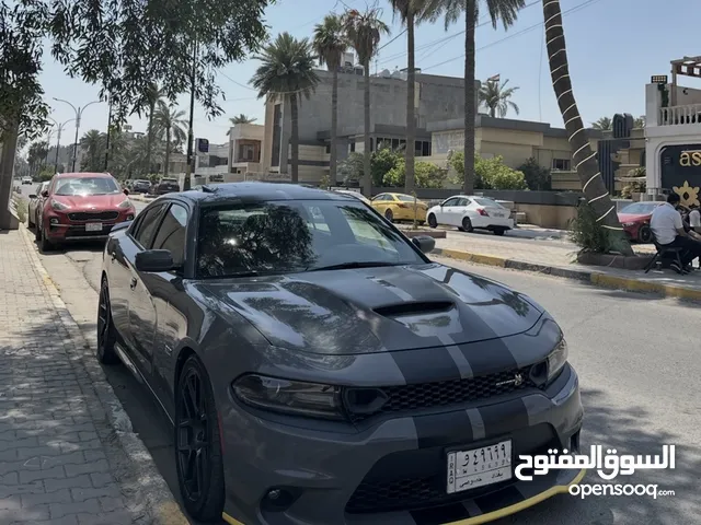 جارجر سكات باك 2019 خليجي وكالة