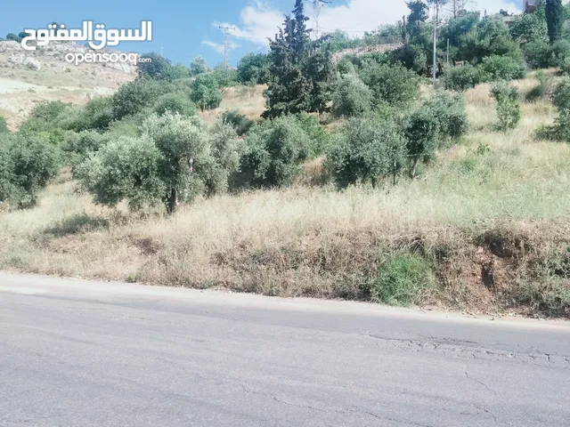 Residential Land for Sale in Amman Al-Thra