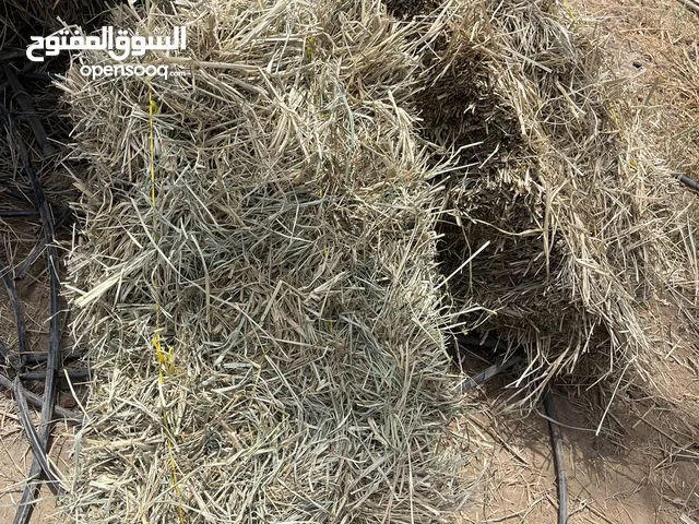 ربط حشائش جديدة للبيع