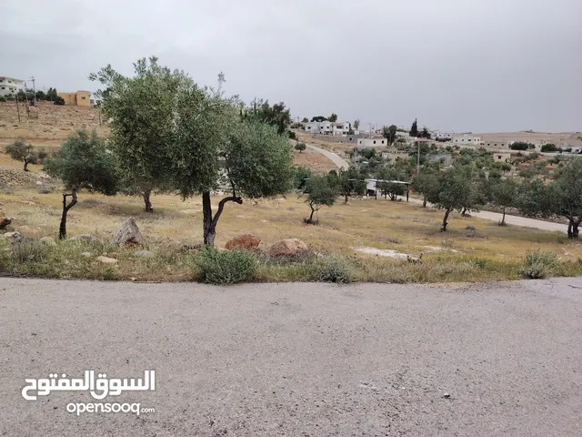 Mixed Use Land for Sale in Jerash Other