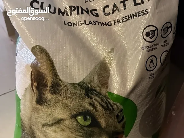 Cat food and litter